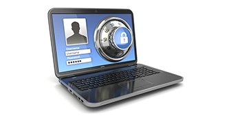 Sonoma County Web Site Design