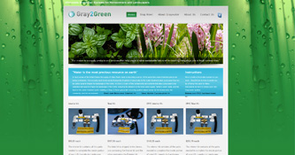 Website Designs Santa Rosa