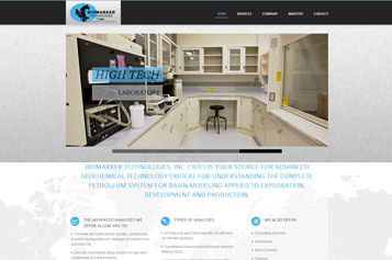 team of website designer