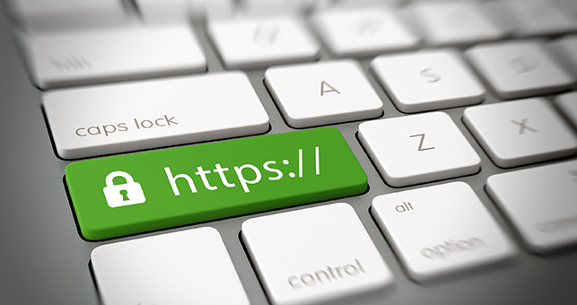 website security petaluma