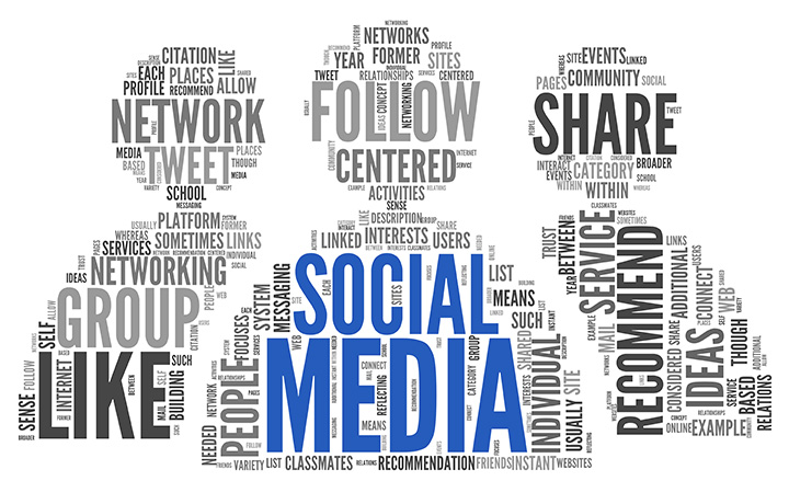 Website Builders Petaluma